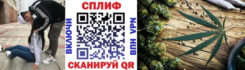 Купить Зубцов Бошки марихуана ГИДРОПОН